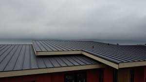 Best Emergency Roof Repair Services  in Patrick Springs, VA